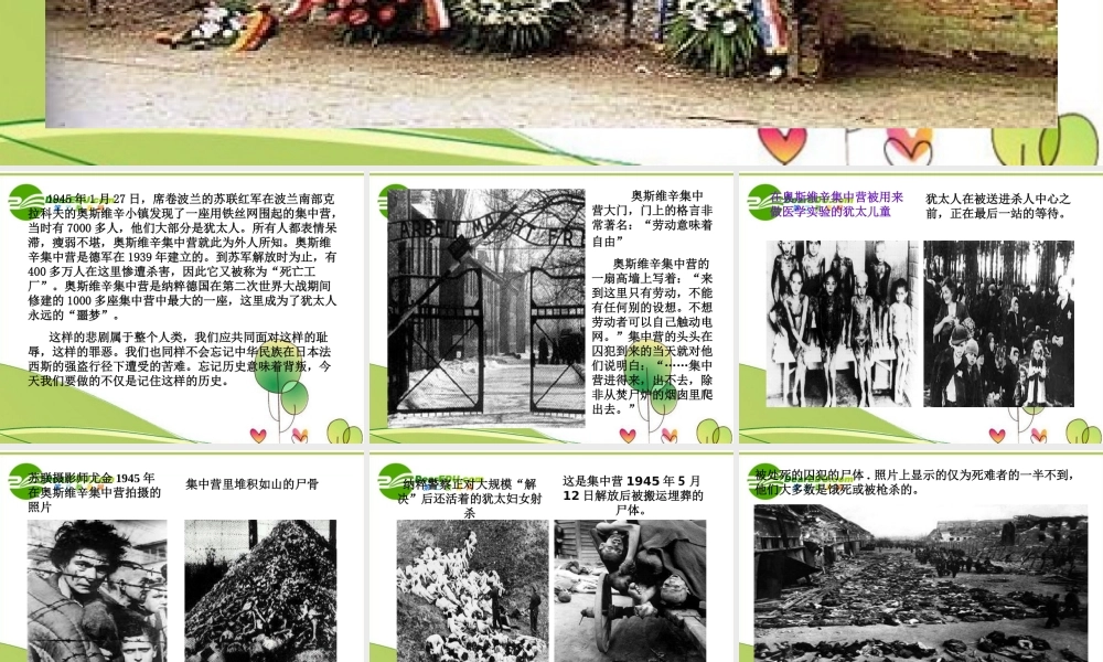 高中语文 第一单元之(奥斯维辛没有什么新闻)课件 语文版必修1 课件