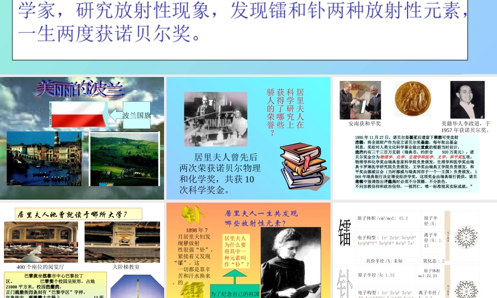 高中语文居里夫人课件 苏教版 选修4 课件