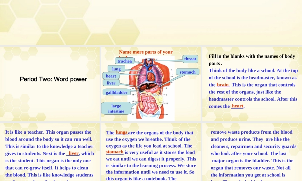 高中英语 模块五 Unit3 Word power课件 牛津版必修5 课件