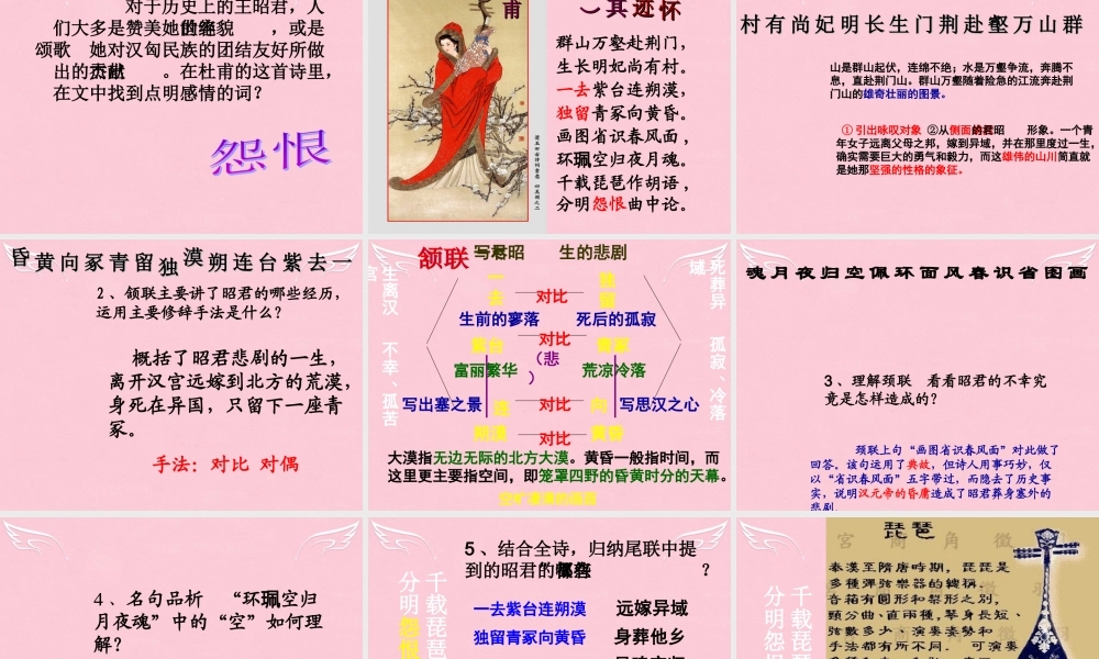 高中语文咏怀古迹其三教学课件新人教版必修3 课件