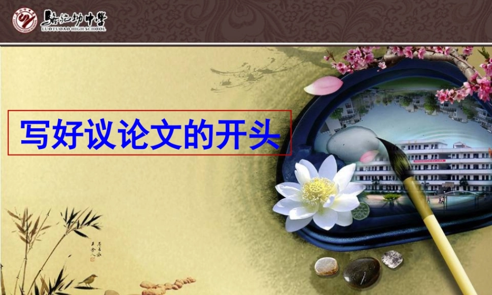 写好议论文的开头毛巧荣