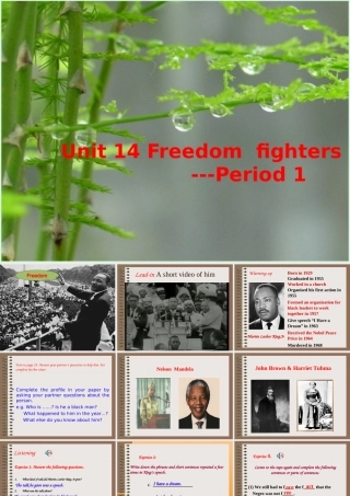 高二英语unit14 Freedom fighters 人教版 课件