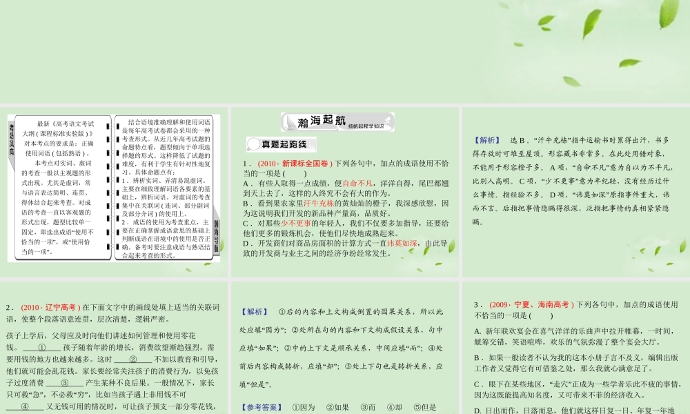 高考语文总复习 专题九 词语(包括熟语)精品课件练习课件 新人教版 课件