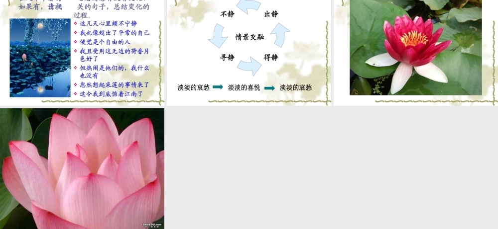 粤教版必修一高一语文荷塘月色 课件