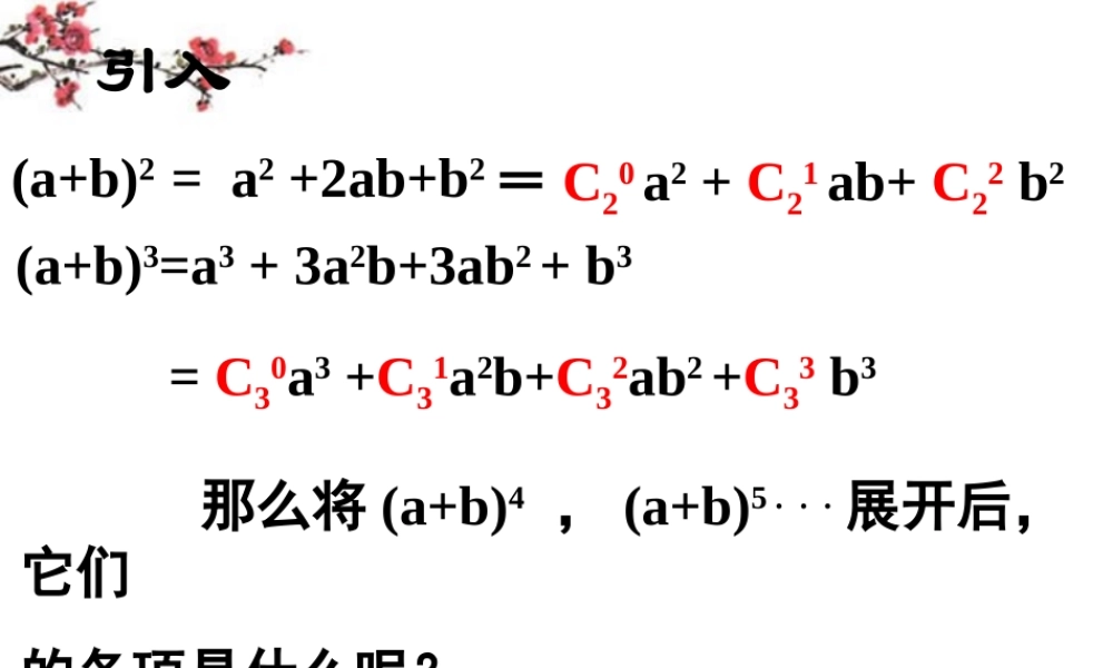 高二数学(二项式)课件