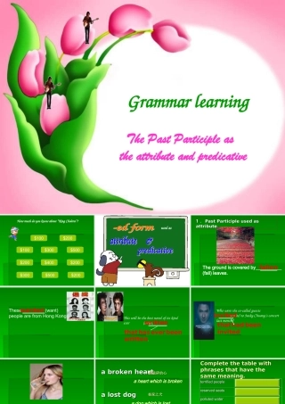 高中英语 Unit1 Grammar课件 新人教版必修5 课件