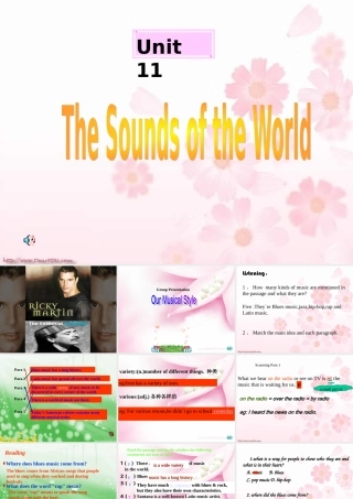 湖南省娄底地区高一英语Unit11 reading 人教版1 课件