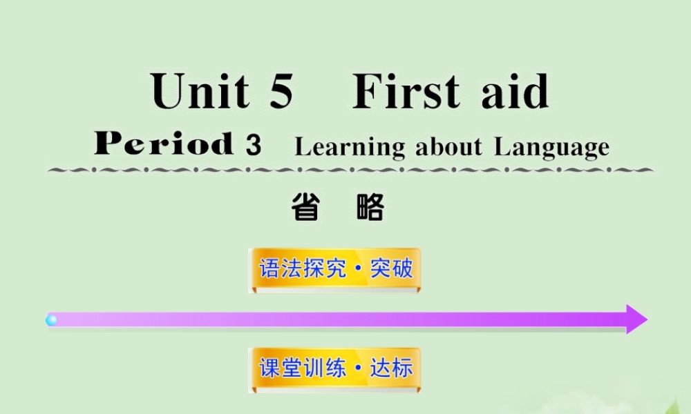 高中英语课时讲练通配套课件 Unit5(First Aid)Period 3 新人教版必修5 课件