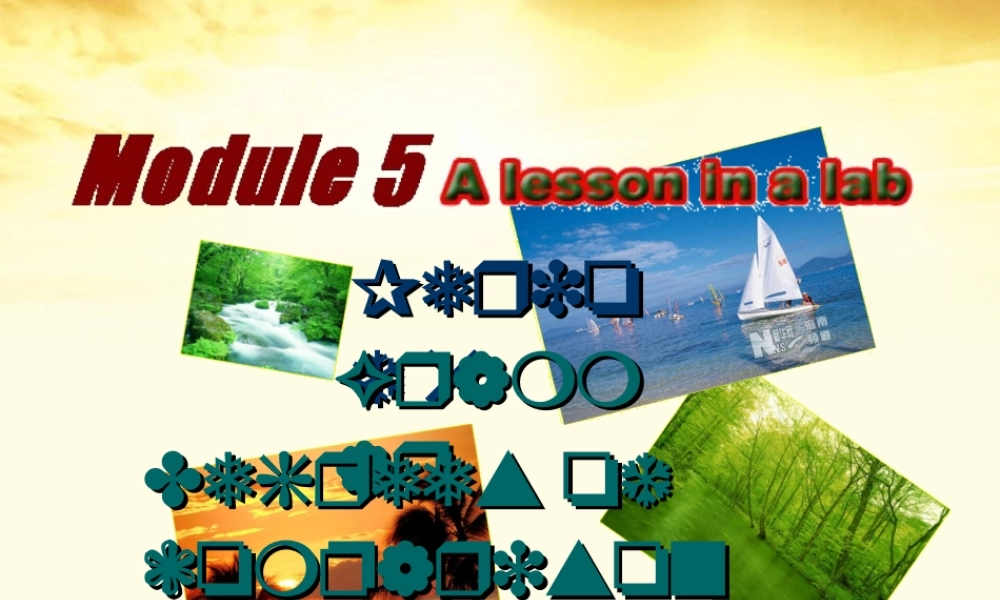 高中英语 Module5 Grammar课件 外研社版必修1 课件