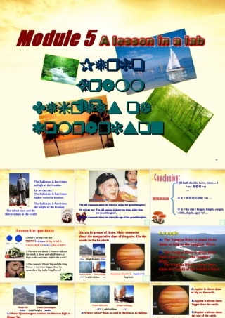 高中英语 Module5 Grammar课件 外研社版必修1 课件