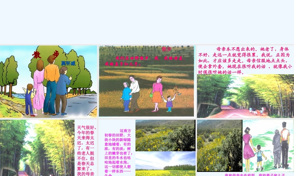 (部编)初中语文人教2011课标版七年级上册第二单元-散步