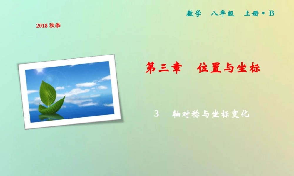 秋八年级数学上册 第3章 位置与坐标 3 轴对称与坐标变化课件 (新版)北师大版 课件