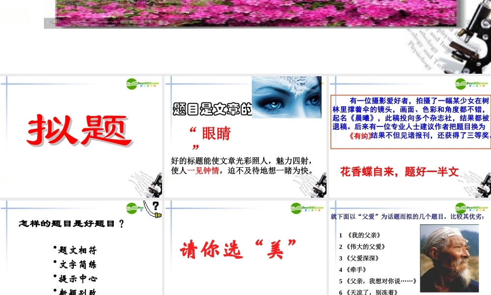 高考语文 议论文结构的亮化作文复习课件 新人教版 课件