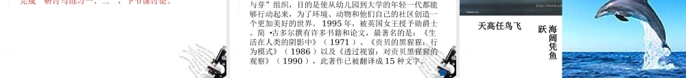 高中语文(动物游戏之谜)课件4 新人教版必修3 课件