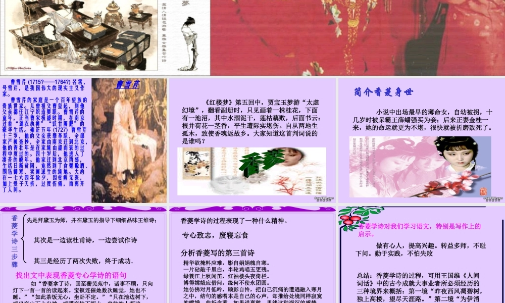 高中语文香菱学诗课件1 人教版 课件