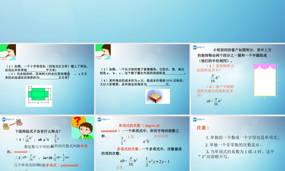 辽宁省沈阳市第四十五中学七年级数学上册 3.3 整式课件 (新版)北师大版