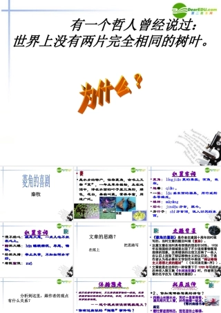 高中语文 3.10(菱角的喜剧)课件 粤教版必修2 课件