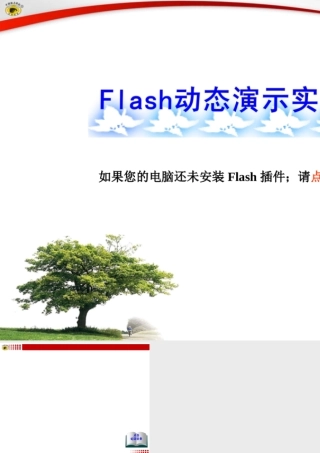 实验7绿叶在光下制造有机物