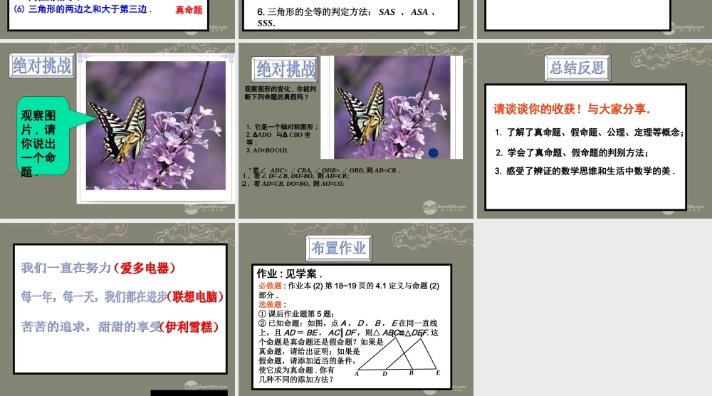 浙江省泰顺县罗阳二中八年级数学下册 4.1 定义与命题1课件 浙教版 课件