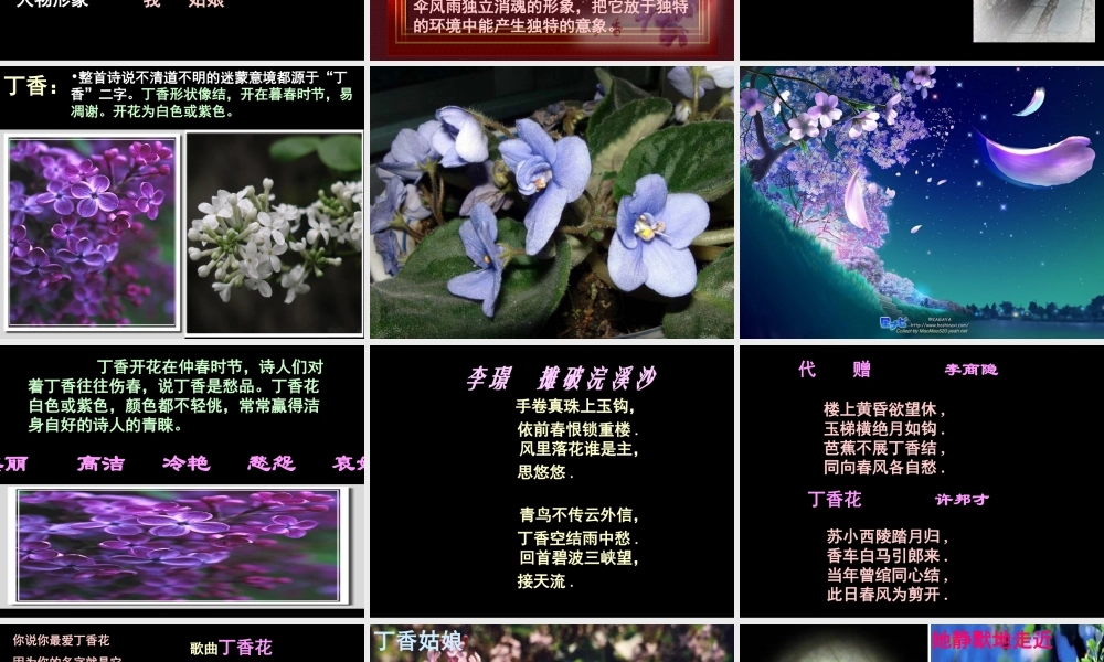 高中语文(雨巷)课件 粤教版 课件