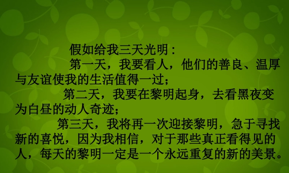 浙江省宁波市慈城中学七年级语文上册 29 盲孩子和他的影子课件 (新版)新人教版