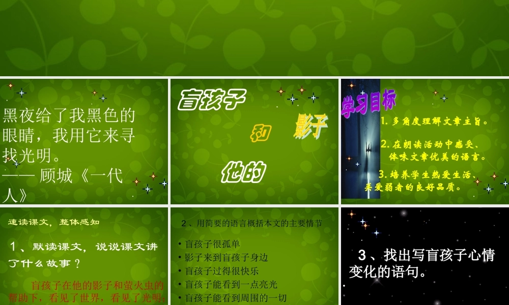 浙江省宁波市慈城中学七年级语文上册 29 盲孩子和他的影子课件 (新版)新人教版