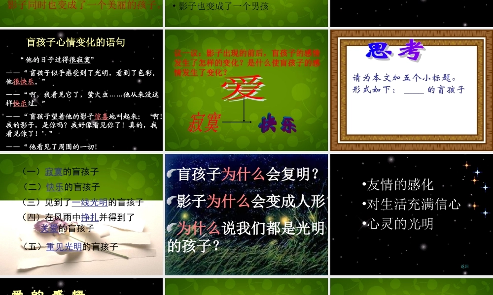 浙江省宁波市慈城中学七年级语文上册 29 盲孩子和他的影子课件 (新版)新人教版