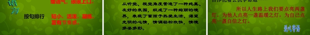 浙江省宁波市慈城中学七年级语文上册 29 盲孩子和他的影子课件 (新版)新人教版