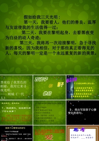 浙江省宁波市慈城中学七年级语文上册 29 盲孩子和他的影子课件 (新版)新人教版