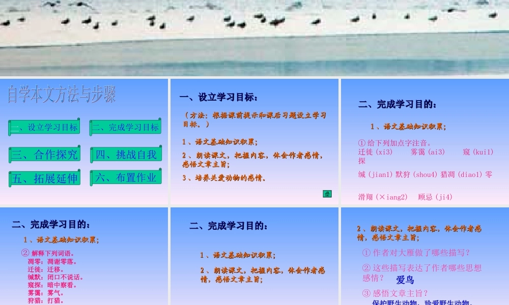 鲁教版七年级语文上册大雁归来3 ppt 课件