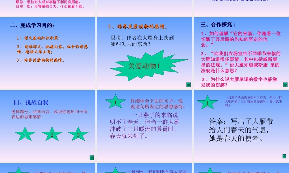 鲁教版七年级语文上册大雁归来3 ppt 课件