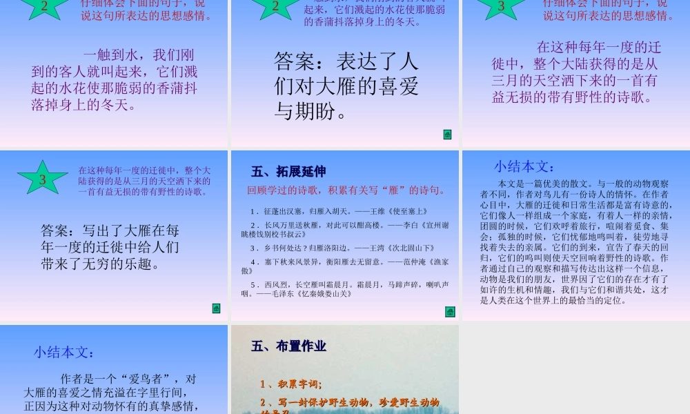 鲁教版七年级语文上册大雁归来3 ppt 课件