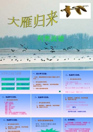 鲁教版七年级语文上册大雁归来3 ppt 课件