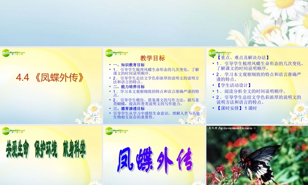 高中语文 44(凤蝶外传)课件 新人教版必修3 课件