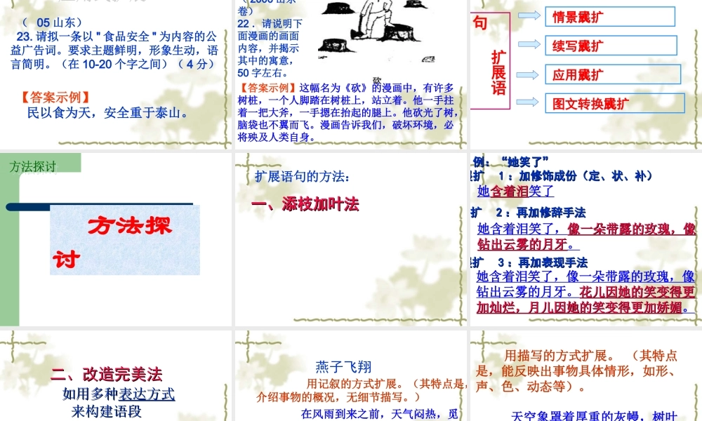 高三语文考点复习：扩展语句课件