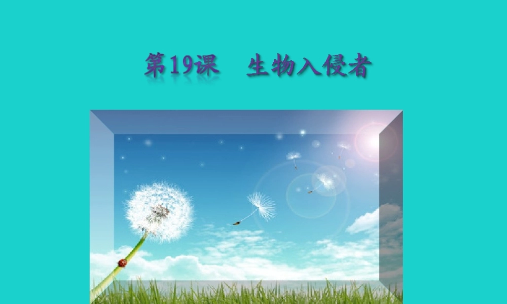 秋八年级语文上册 第四单元 第19课(生物入侵者)课件 新人教版 课件