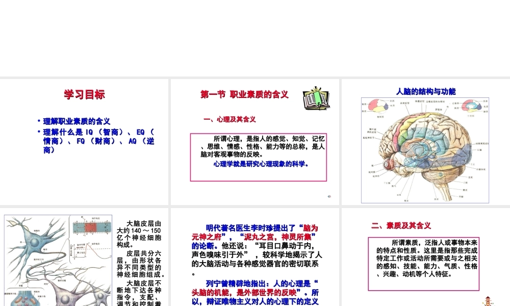 职业素质培养