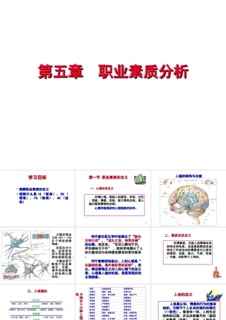 职业素质培养