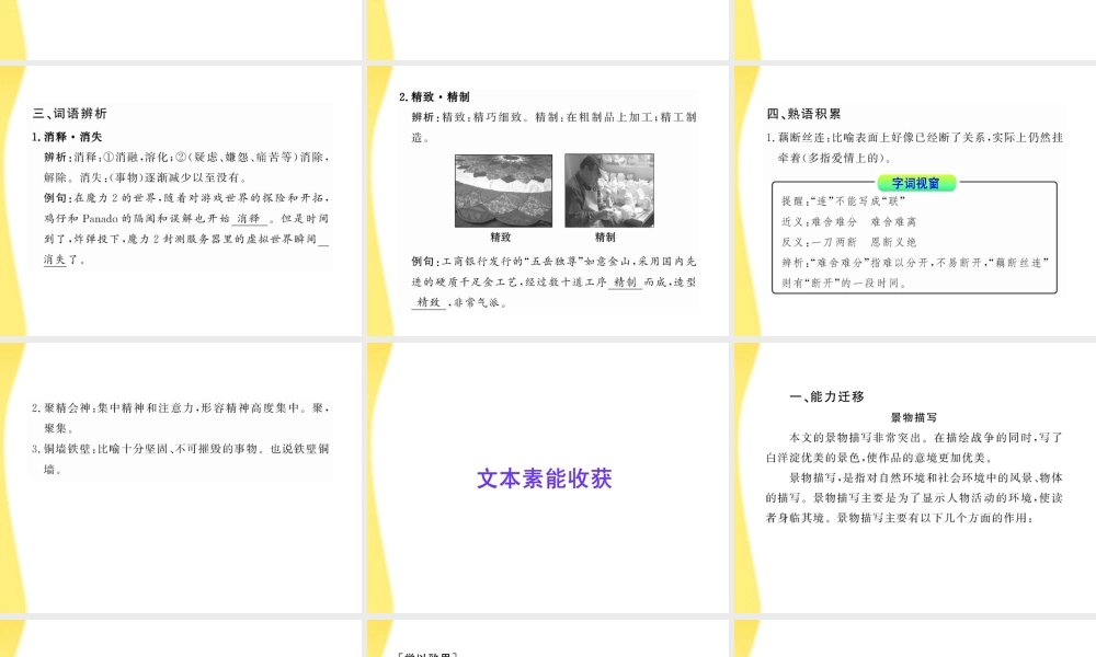 高中语文 8 荷花淀课件 鲁人教版必修1 课件