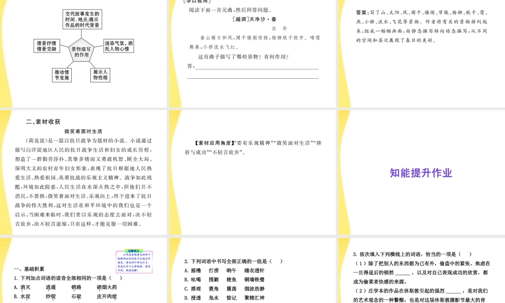 高中语文 8 荷花淀课件 鲁人教版必修1 课件