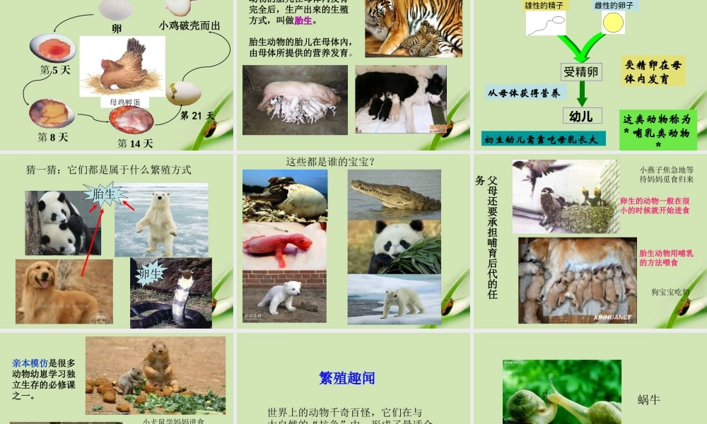 动物是怎样繁殖的---李顺富