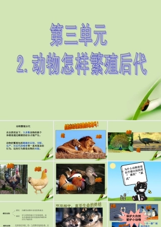 动物是怎样繁殖的---李顺富
