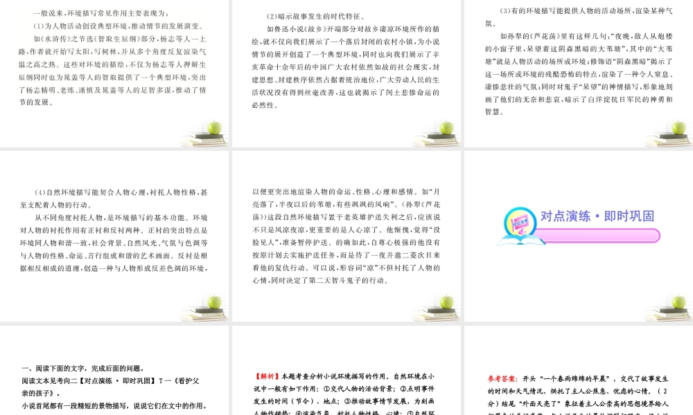 高中语文全程复习方略 3214 环境描写课件 新人教版 (湖南专用) 课件