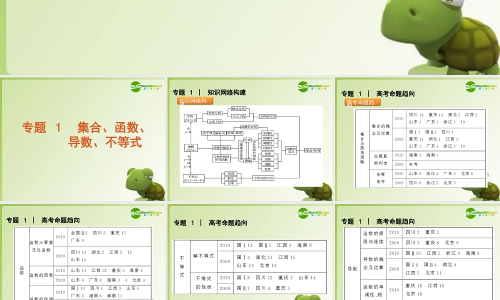 高考数学专题1：集合、函数、导数、不等式 文 大纲人教版 课件