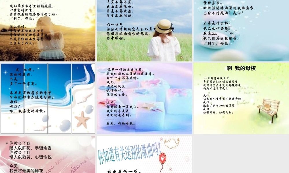 《再见了母校》课件