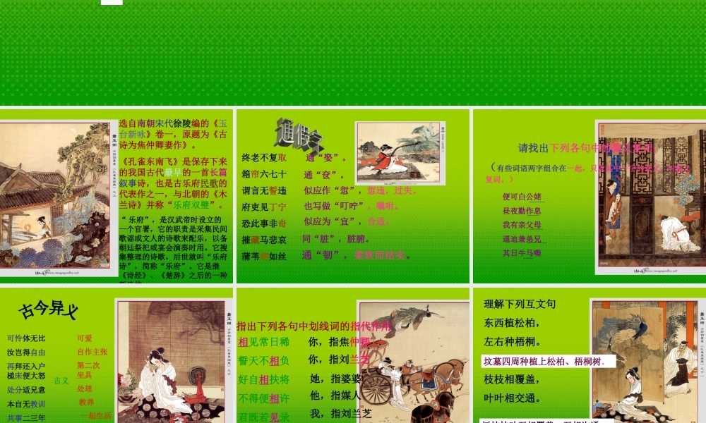 高中语文(孔雀东南飞)课件2 鲁人版必修5 课件