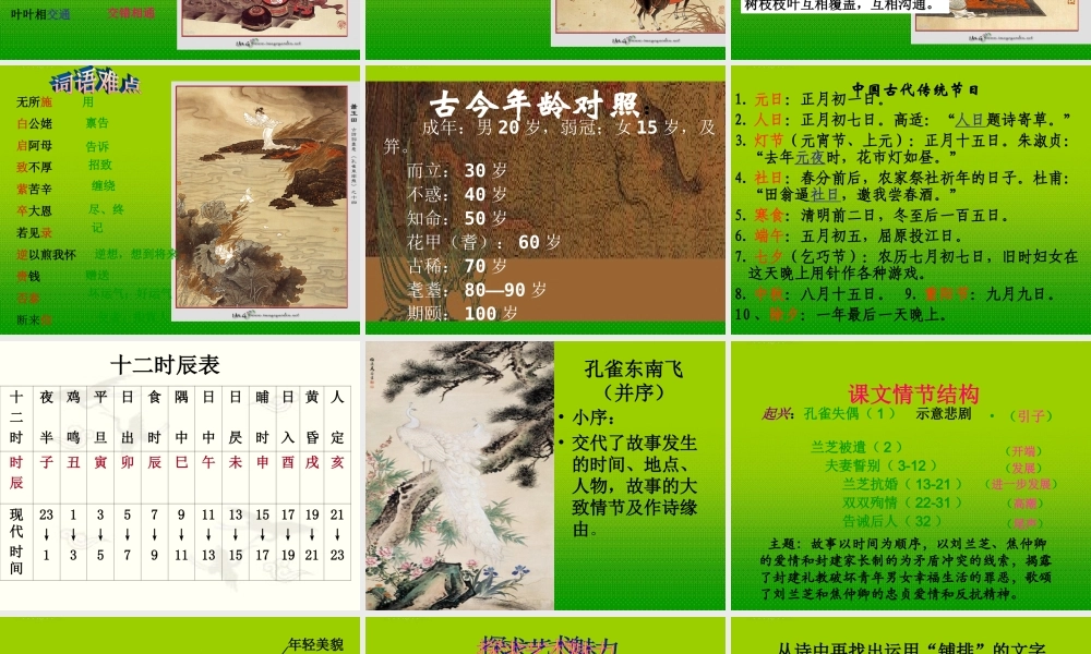 高中语文(孔雀东南飞)课件2 鲁人版必修5 课件