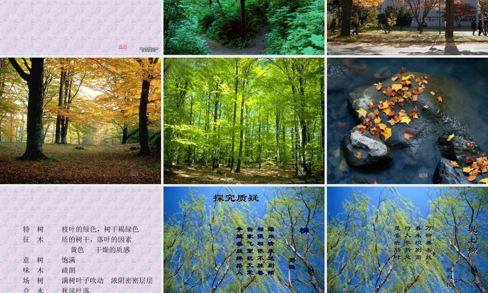 洛阳轴一中说木叶教学课件 人教版0 课件