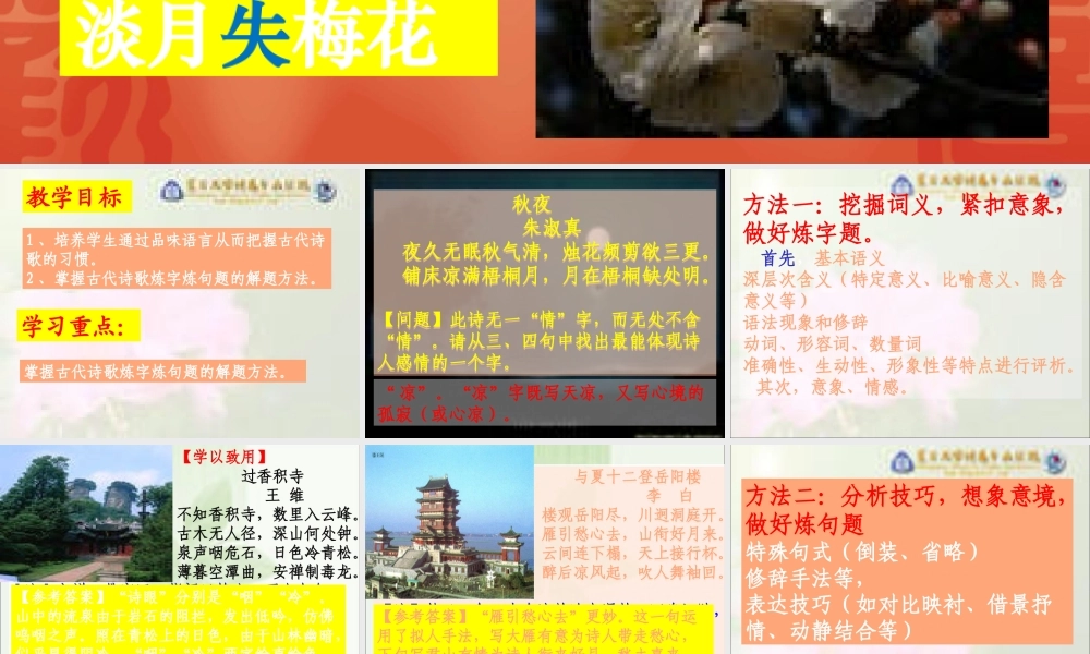 高中语文 学以致用——能力提高训练 课件