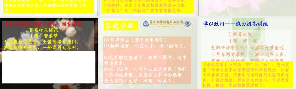 高中语文 学以致用——能力提高训练 课件